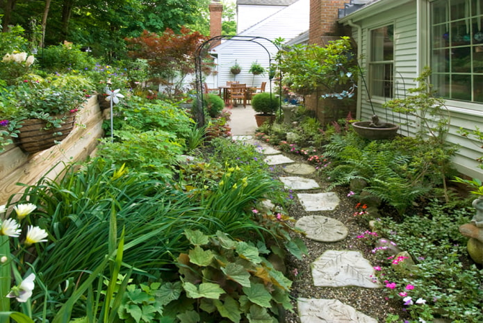 Plants on the sides of the path Plants on the sides of the path