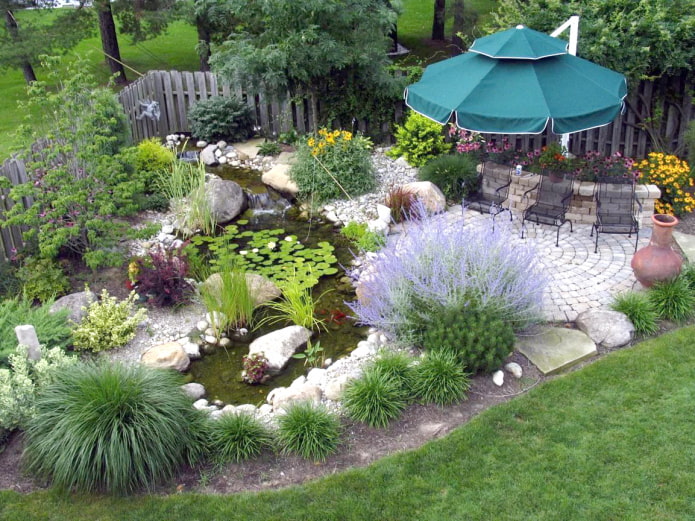 Pond at their summer cottage Pond at their summer cottage