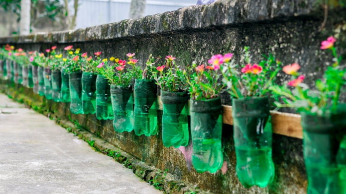 Flower bed on a fence made of bottles Flower bed on a fence made of bottles