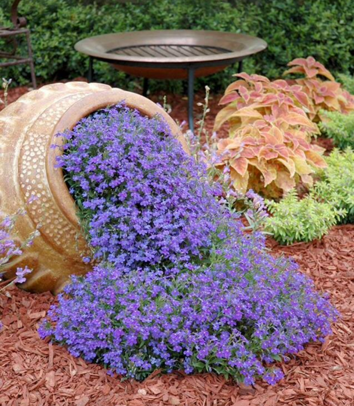 Decorations made of flowers and a jug Decorations made of flowers and a jug