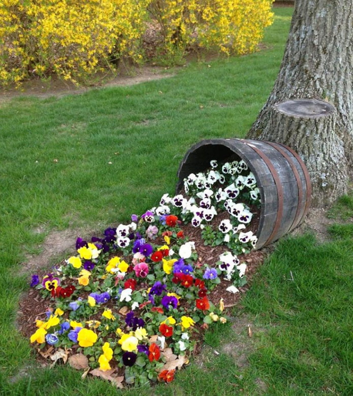 Flowerbed from a barrel Flowerbed from a barrel