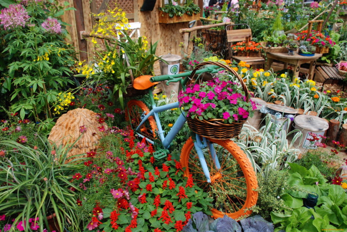 Bicycle in colors Bicycle in flowers