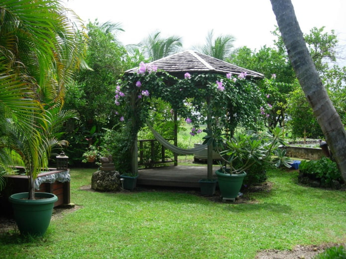 secluded hammock in the gazebo