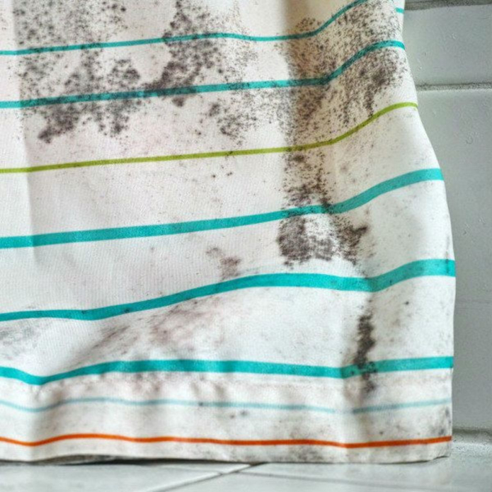 mold on the curtain