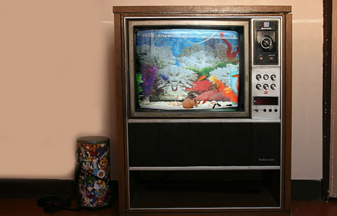 Aquarium from TV Aquarium from TV