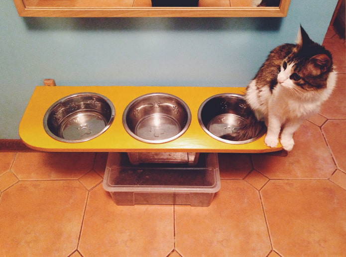 bowls for cats bowls for cats