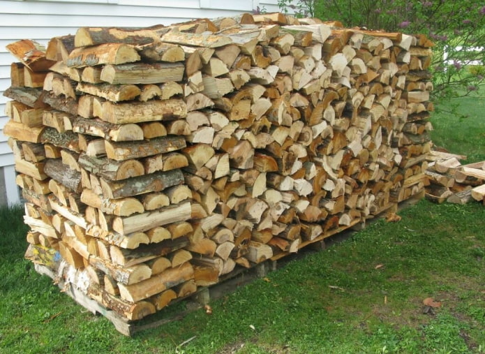 Open woodpile Open woodpile