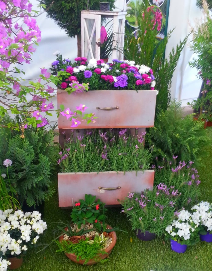 flowers in a chest of drawers on the street