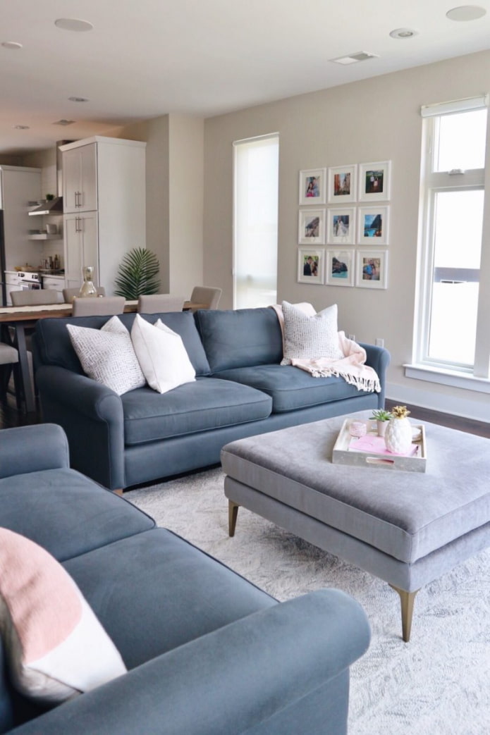 two sofas in the hall