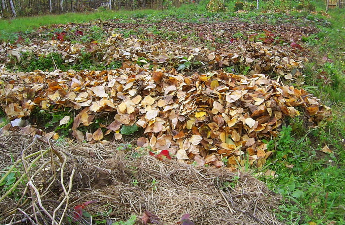 Blanket for landings