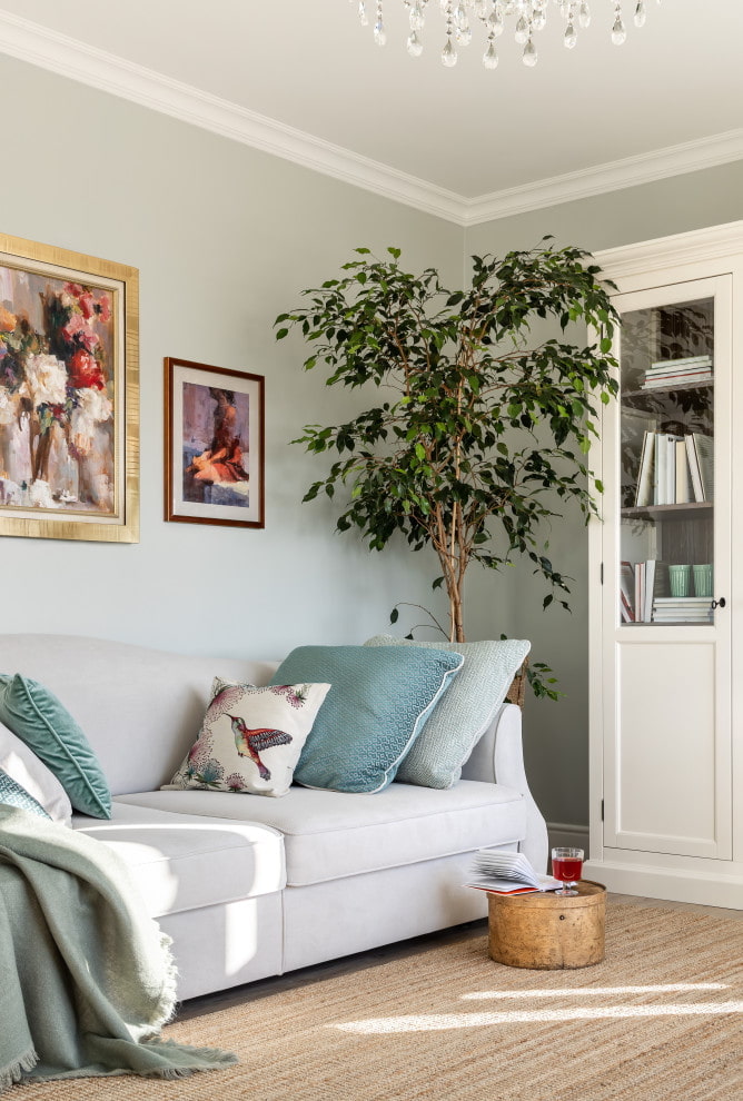 Ficus tapeworm Ficus tapeworm