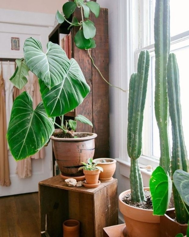 Flower on box Flower on box