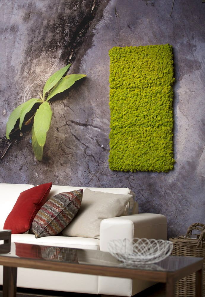 Moss composition Moss composition