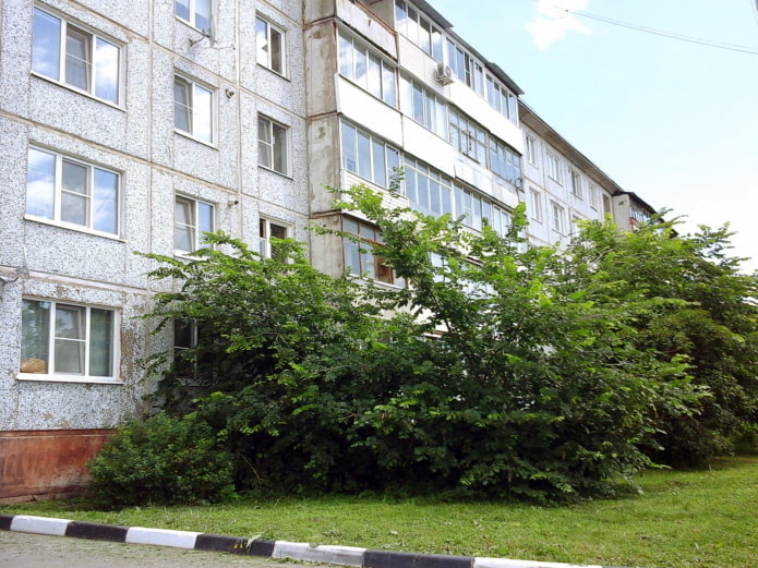 Trees in front of windows