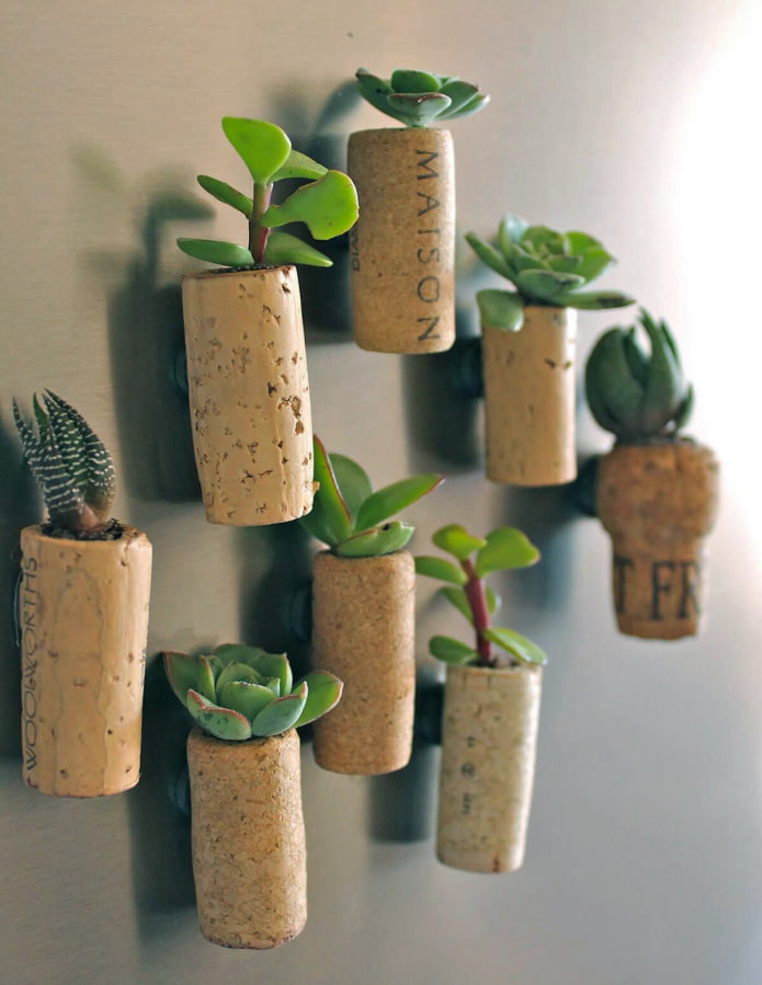 Cork magnets