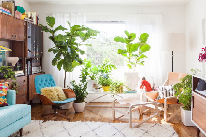 Indoor flowers in the living room
