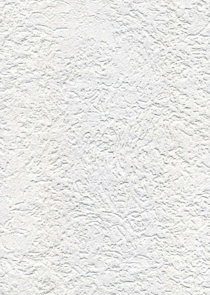 fine plaster bark beetle