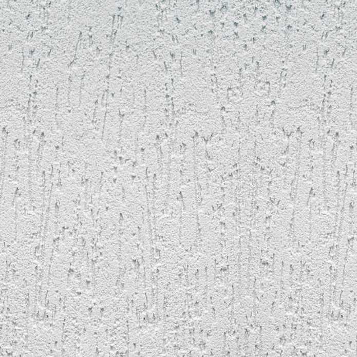 light gray bark beetle