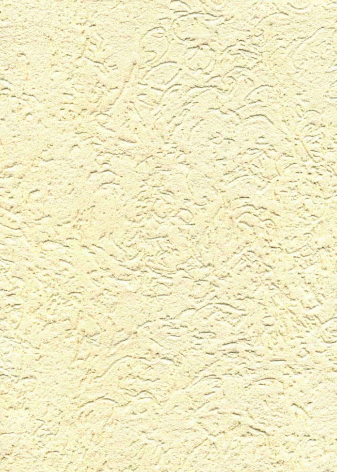 plastering bark beetle