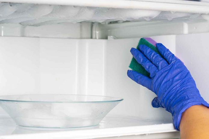 wash the refrigerator after defrosting wash the refrigerator after defrosting