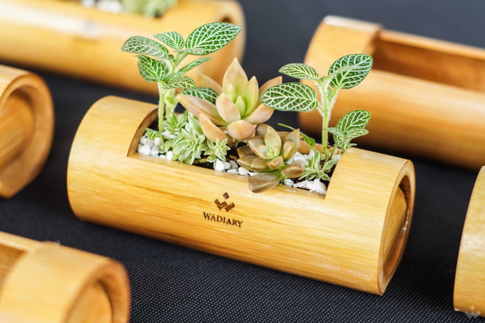bamboo planter bamboo planter