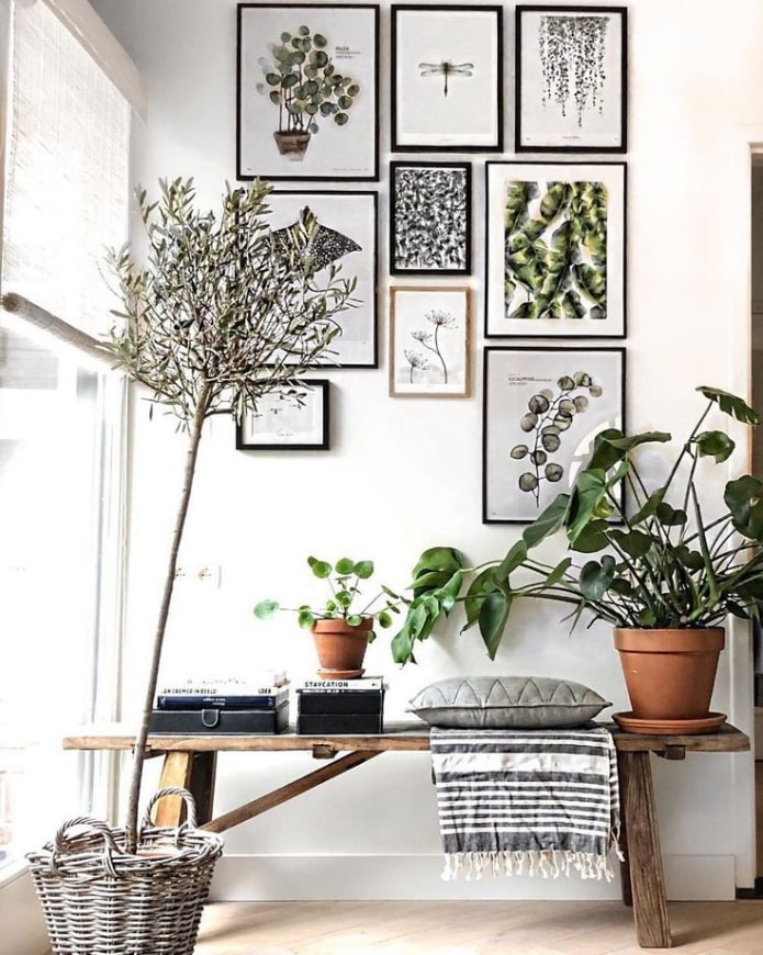 Flowers and posters Flowers and posters