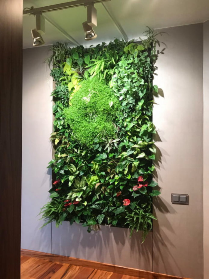 phytopanno from vines