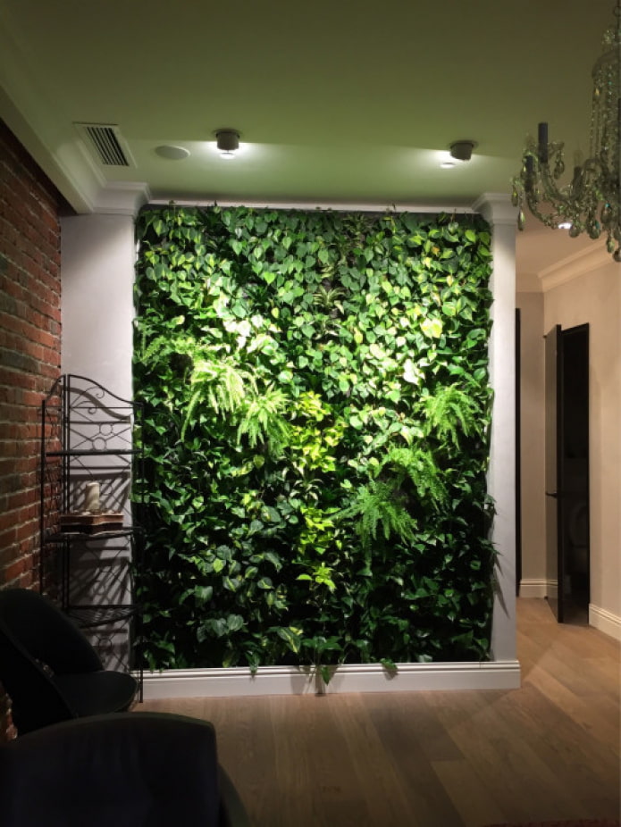 green wall in the hallway