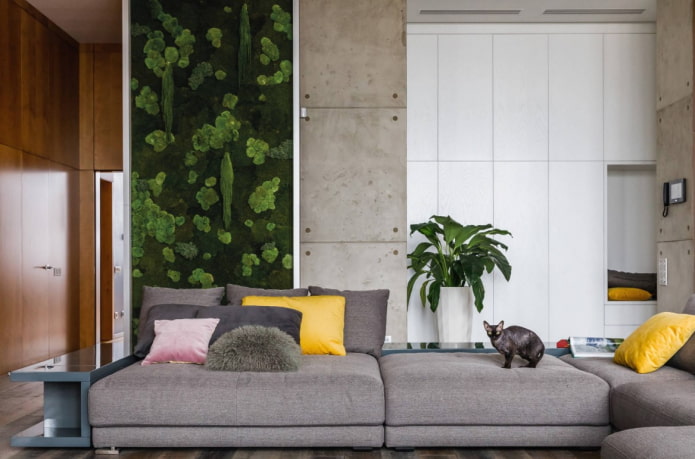 moss on the wall in the hall