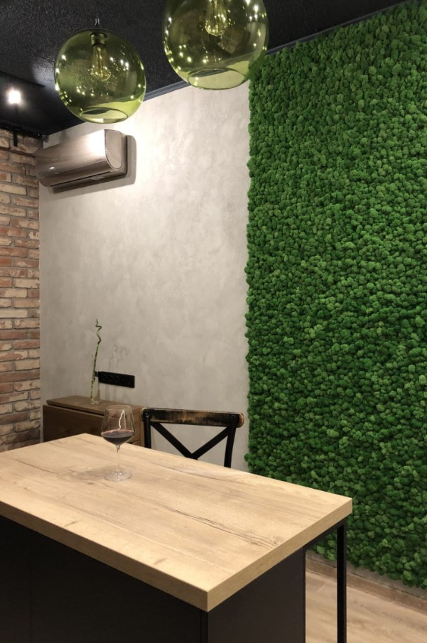 plants in the kitchen