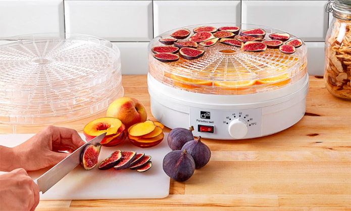 Fruit dryer Fruit dryer