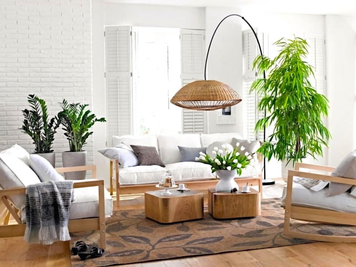 living room with indoor bamboo in a pot living room with indoor bamboo in a pot