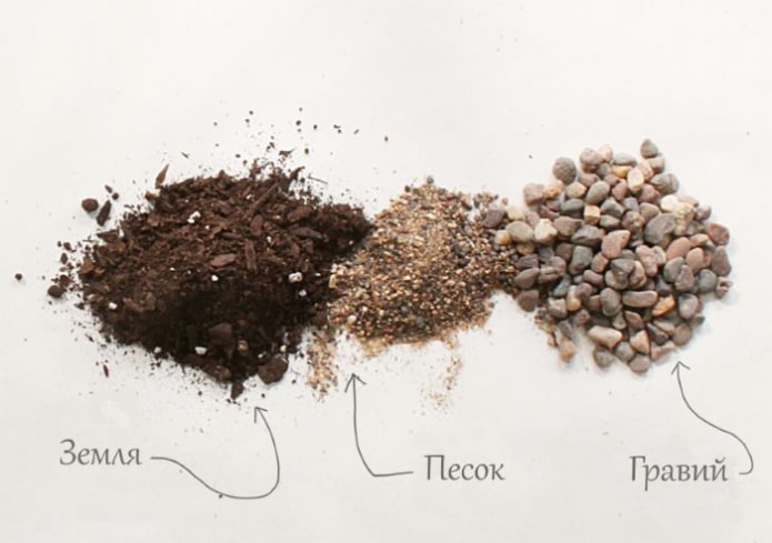 soil composition for succulents
