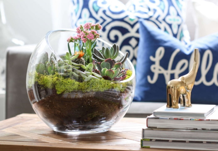 florarium in the living room