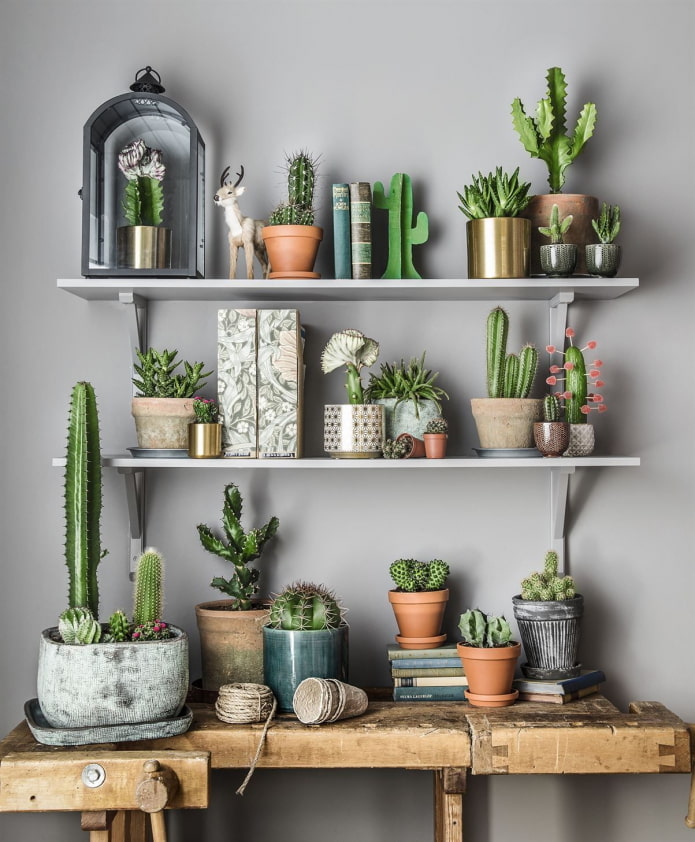 flowers on the shelves