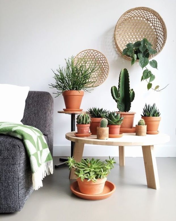flowers on the table in the living room