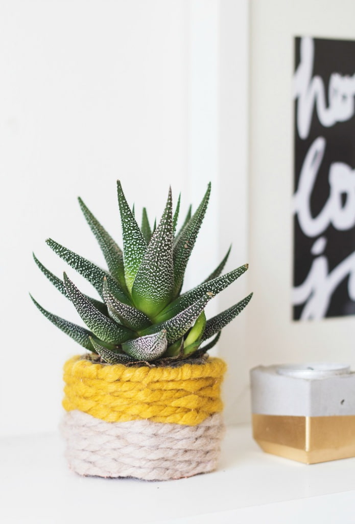 the pot is decorated with threads
