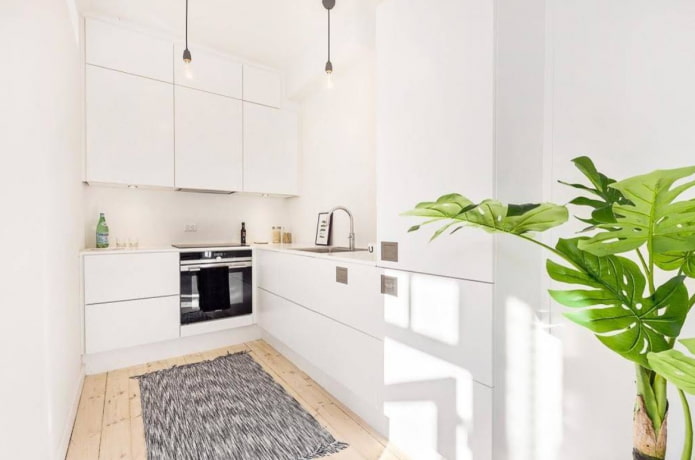 neutral carpet in the kitchen
