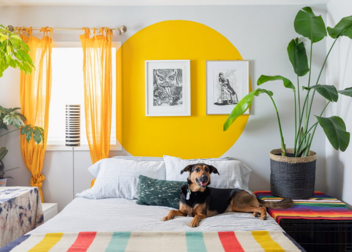 Yellow circle Yellow circle