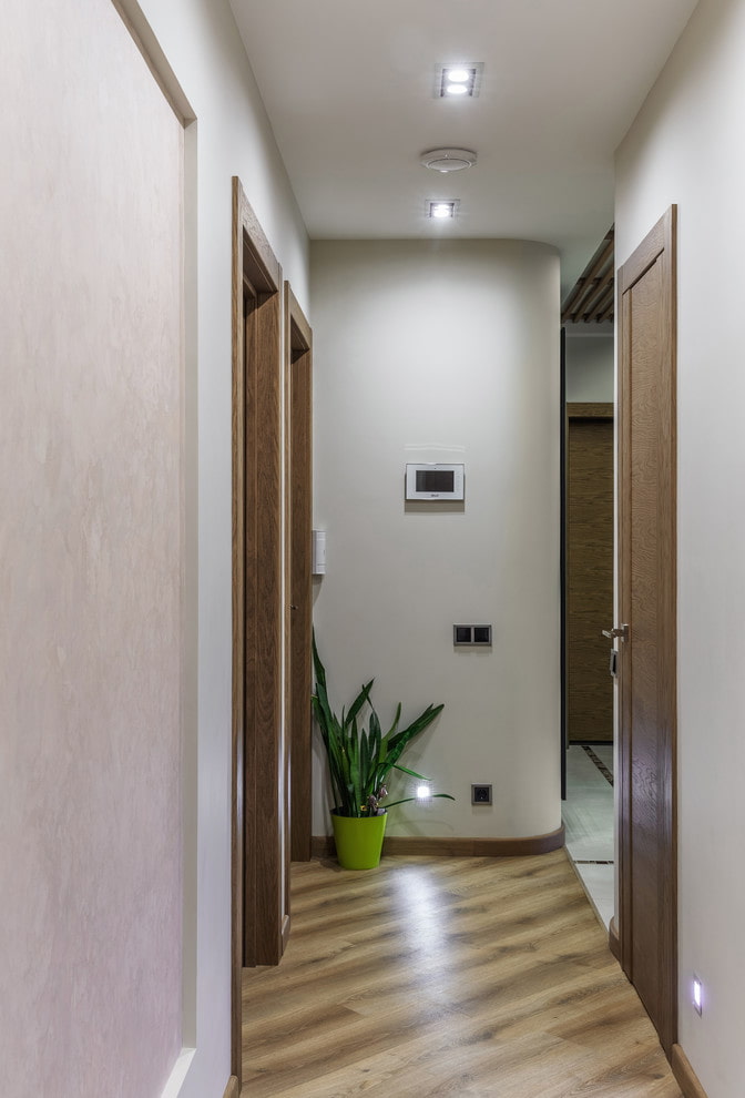 Sansevieria in the hallway