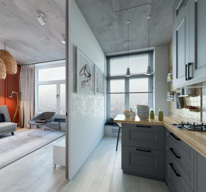 partition in the kitchen-living room