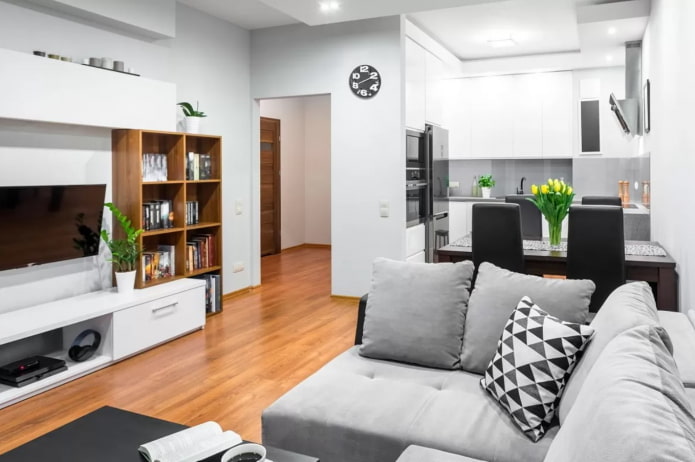 kitchen-living room in a two-room