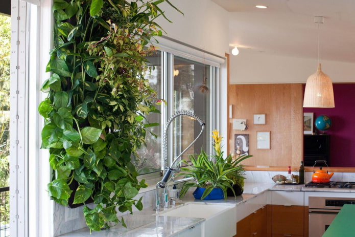 greens in the kitchen greens in the kitchen