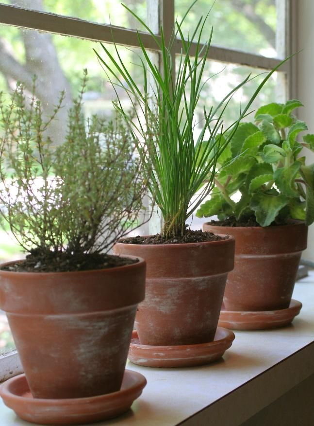 Ceramic pots