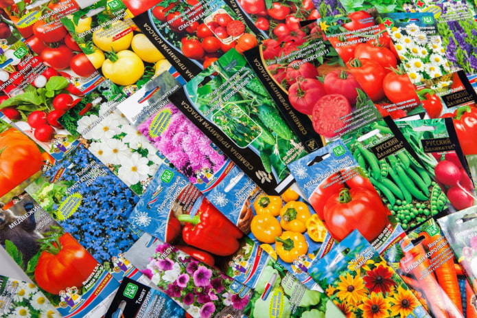 Shop seeds Shop seeds