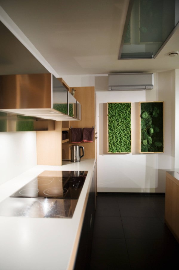 preserved moss paintings