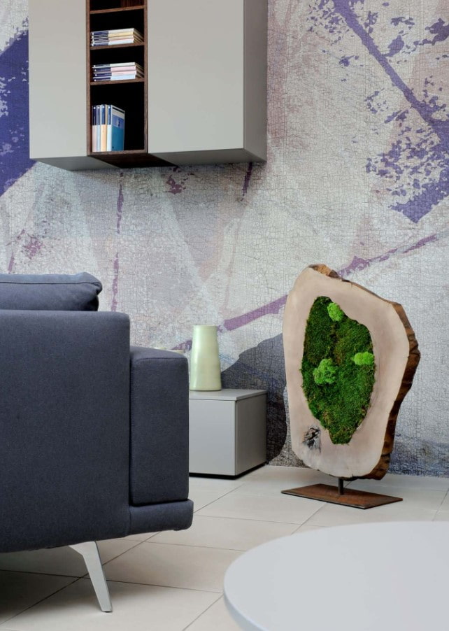 moss decor in the interior