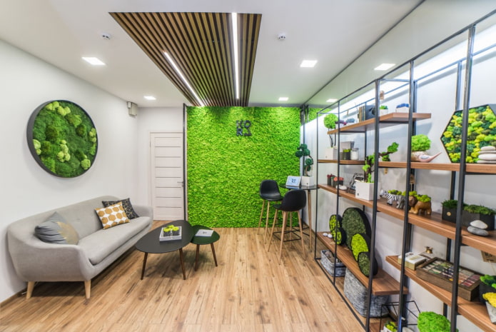 moss in the living room above the sofa