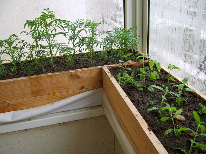 Wooden boxes Wooden boxes