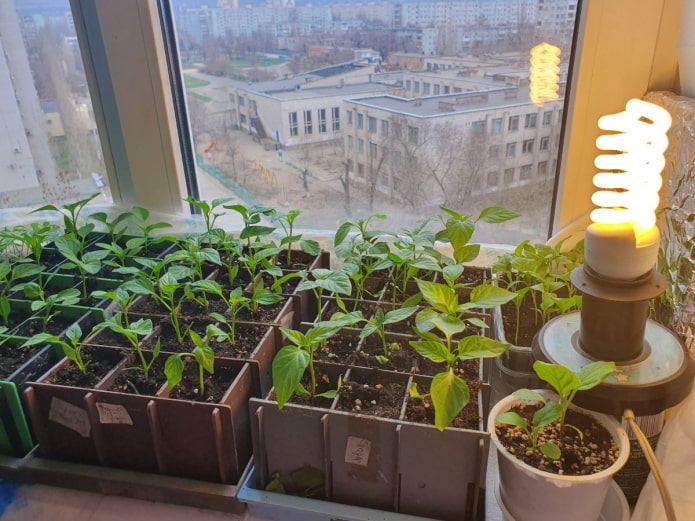 Containers Containers